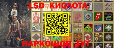прущие грибы Тверь