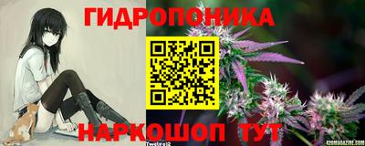 ГАЛЛЮЦИНОГЕННЫЕ ГРИБЫ Тара