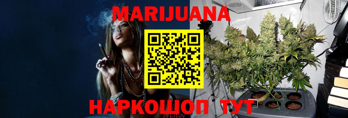 Рославль  Конопля семена  Каннабис OG Kush  Вход с VPN  Бошки Шишки SATIVA & INDICA  Каннабис White Widow 